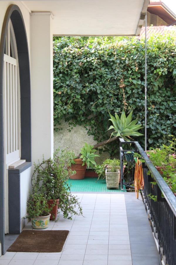 Greenhouse มาสกาลูเชีย ภายนอก รูปภาพ
